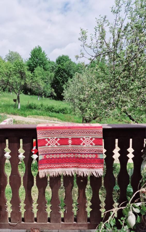 Villa Casa Cu Cerdac Nucşoara Exterior foto